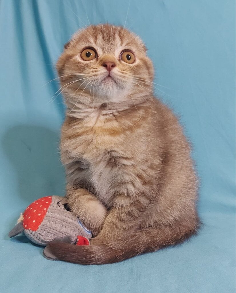 Photo 2026 01 14 10 17 38 2