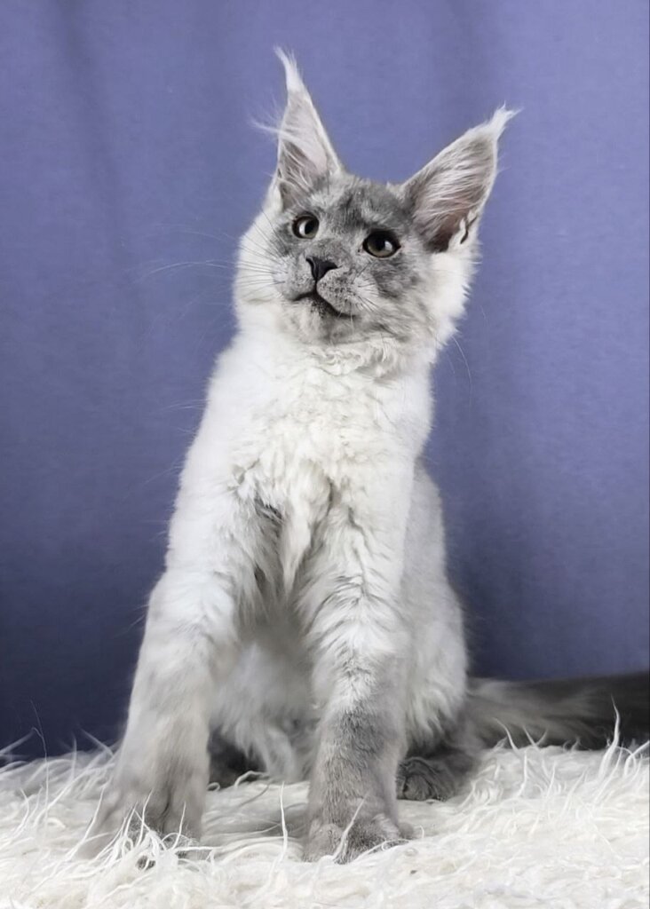 Photo 2026 01 14 19 16 48 2