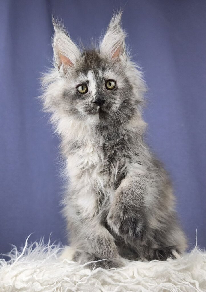 Photo 2026 01 14 19 36 41 3