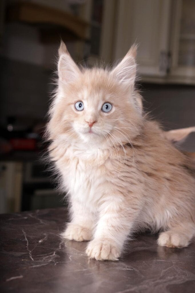 Photo 2026 01 14 20 35 28 2