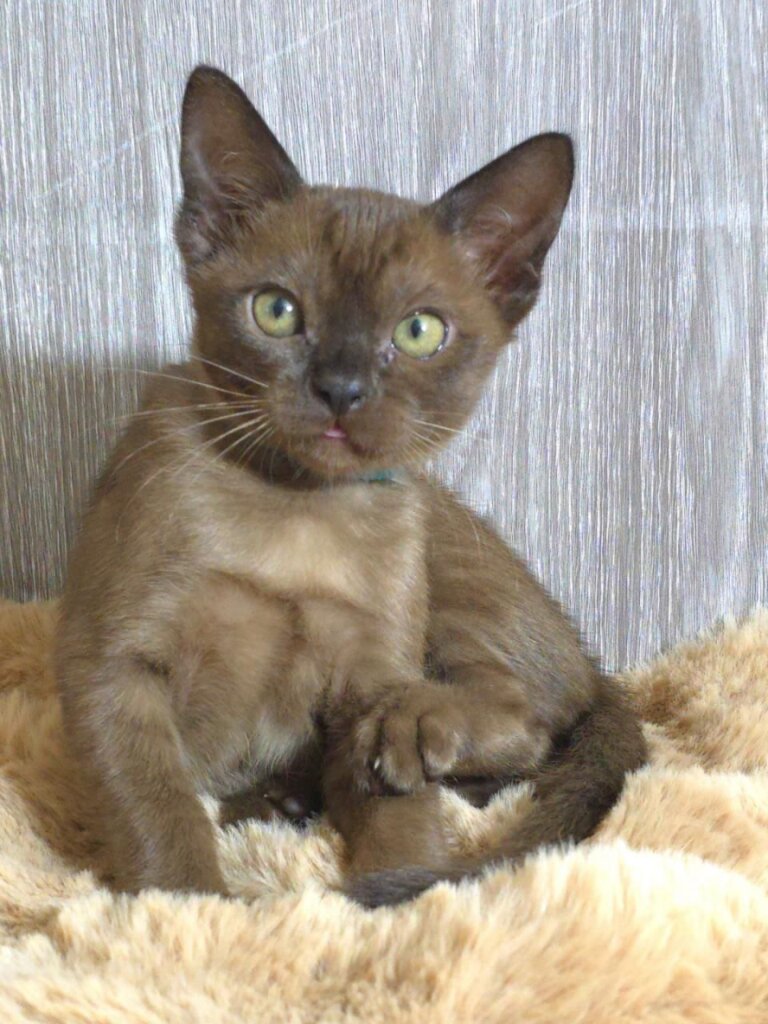 Photo 2026 01 15 22 41 23