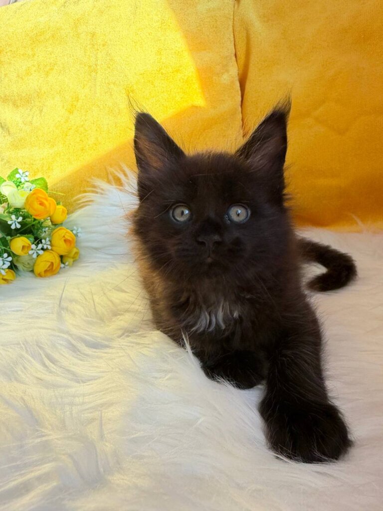 Photo 2026 01 16 18 43 31