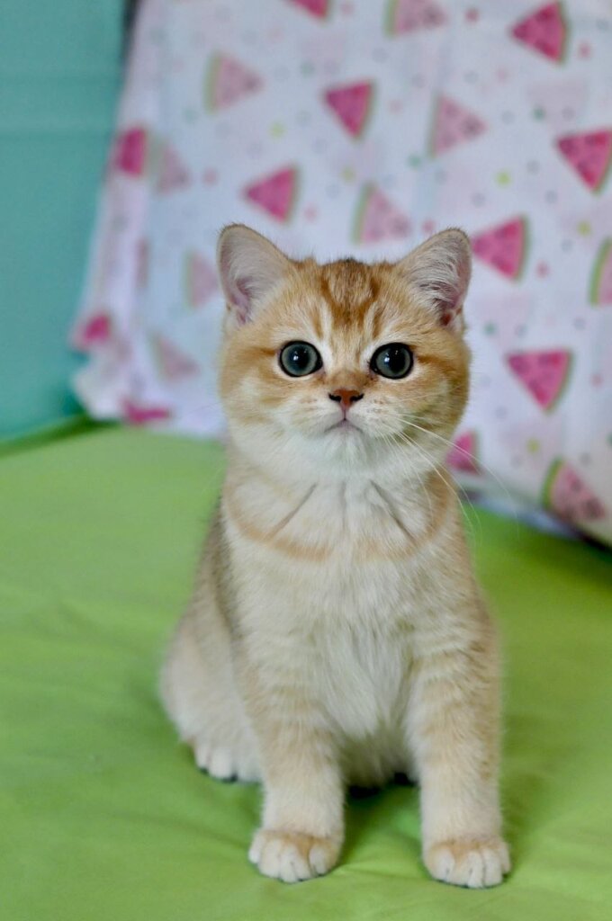 Photo 2026 01 17 15 30 17 2