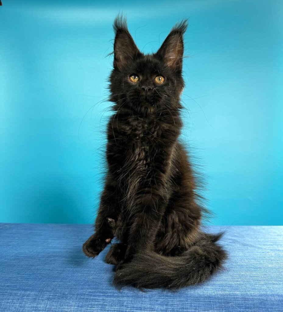 Photo 2026 01 18 12 06 16