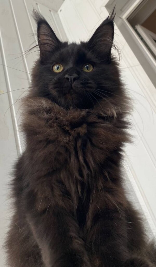 Photo 2026 01 19 14 42 53