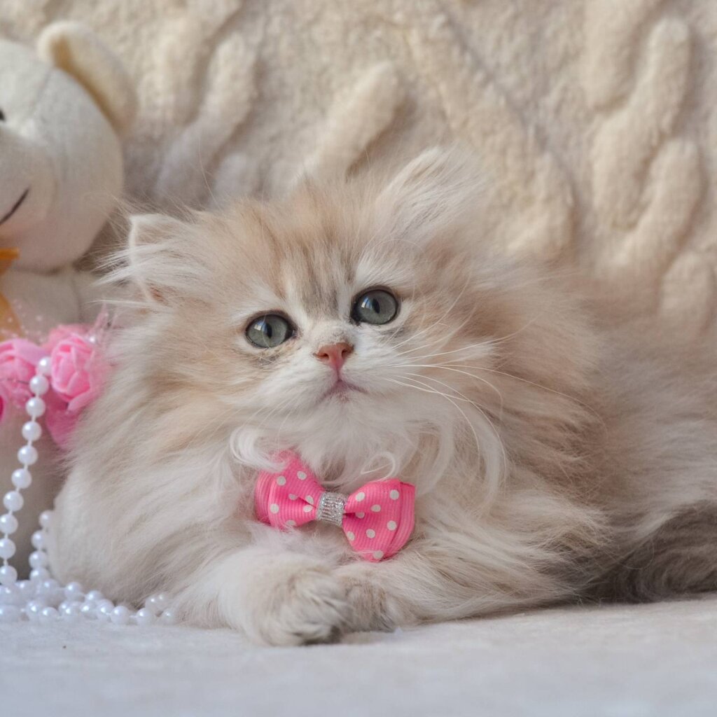 Photo 2026 01 19 19 46 42