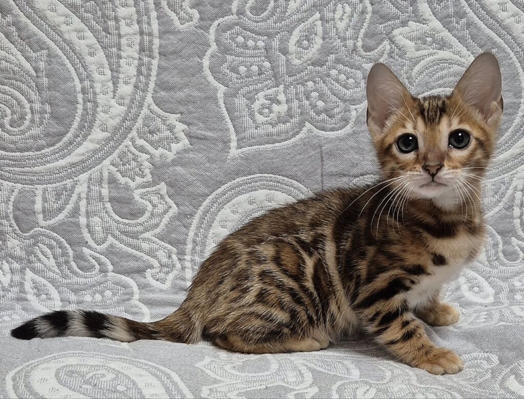 Photo 2026 01 19 21 21 19 2