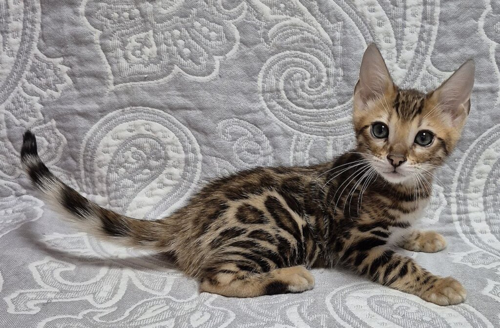 Photo 2026 01 19 21 26 41