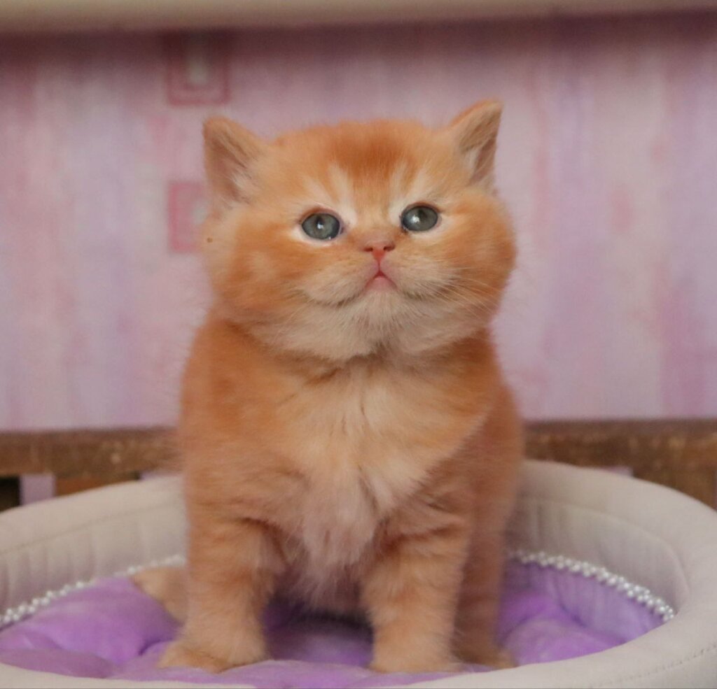 Photo 2026 01 20 16 39 32 2