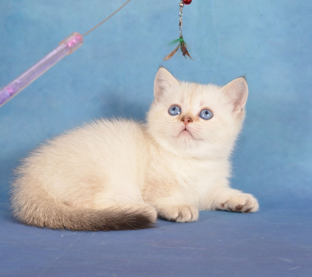 Photo 2026 01 20 21 12 48