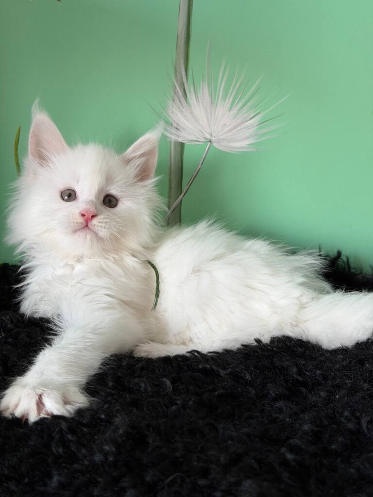 Photo 2026 01 21 17 29 05