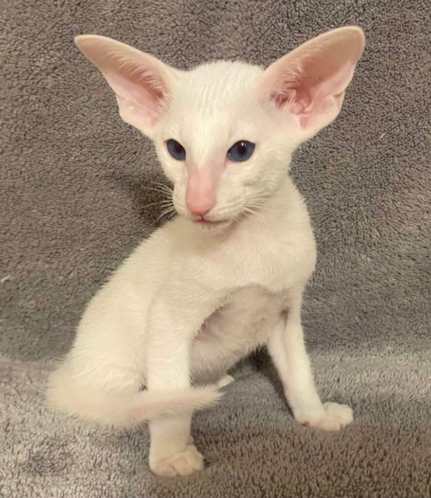 Photo 2026 01 21 22 57 08 2