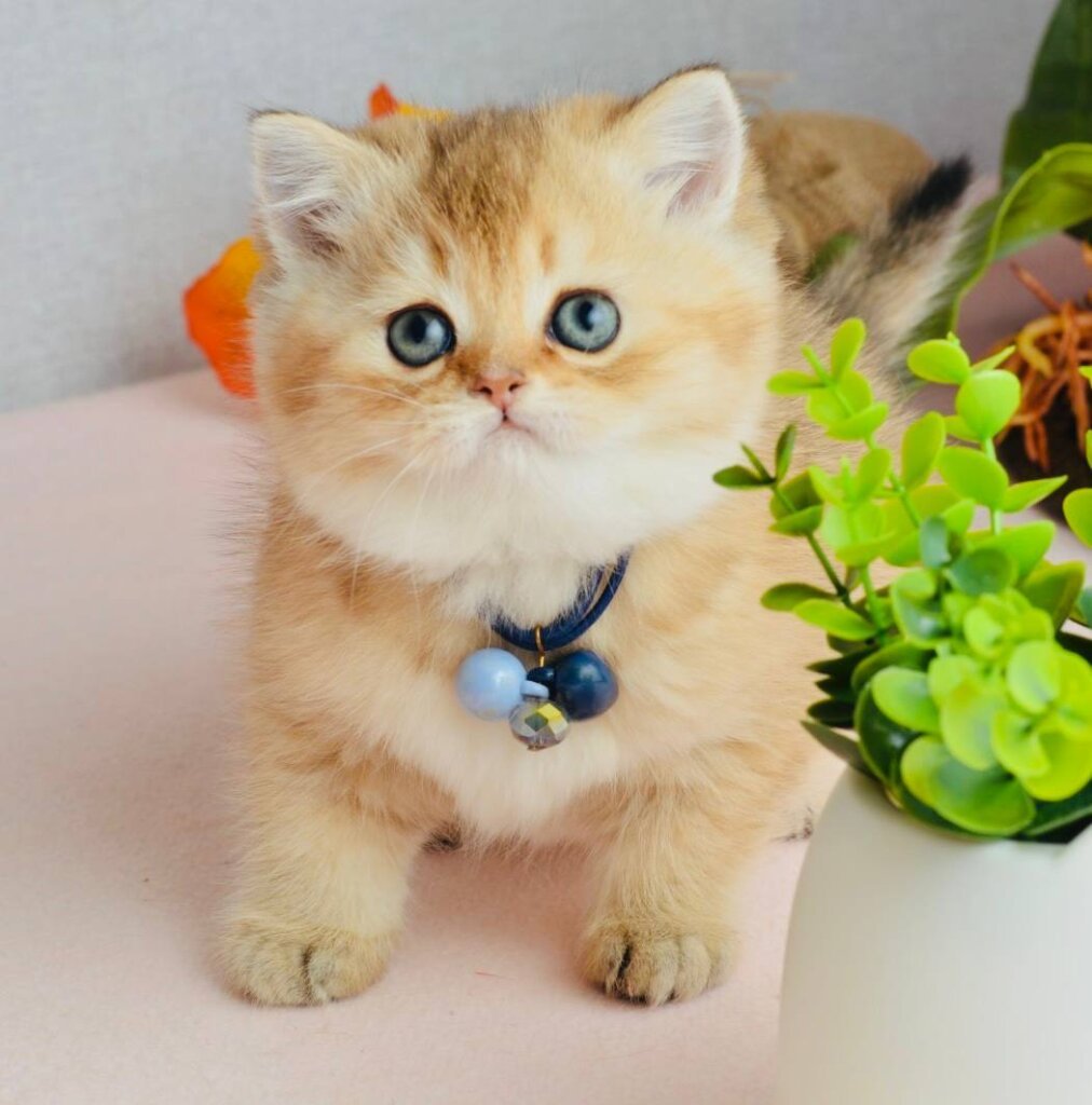 Photo 2026 01 22 13 07 07