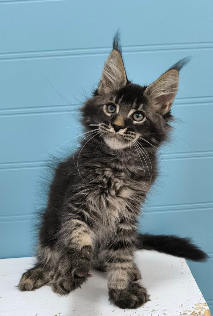 Photo 2026 01 22 18 55 40