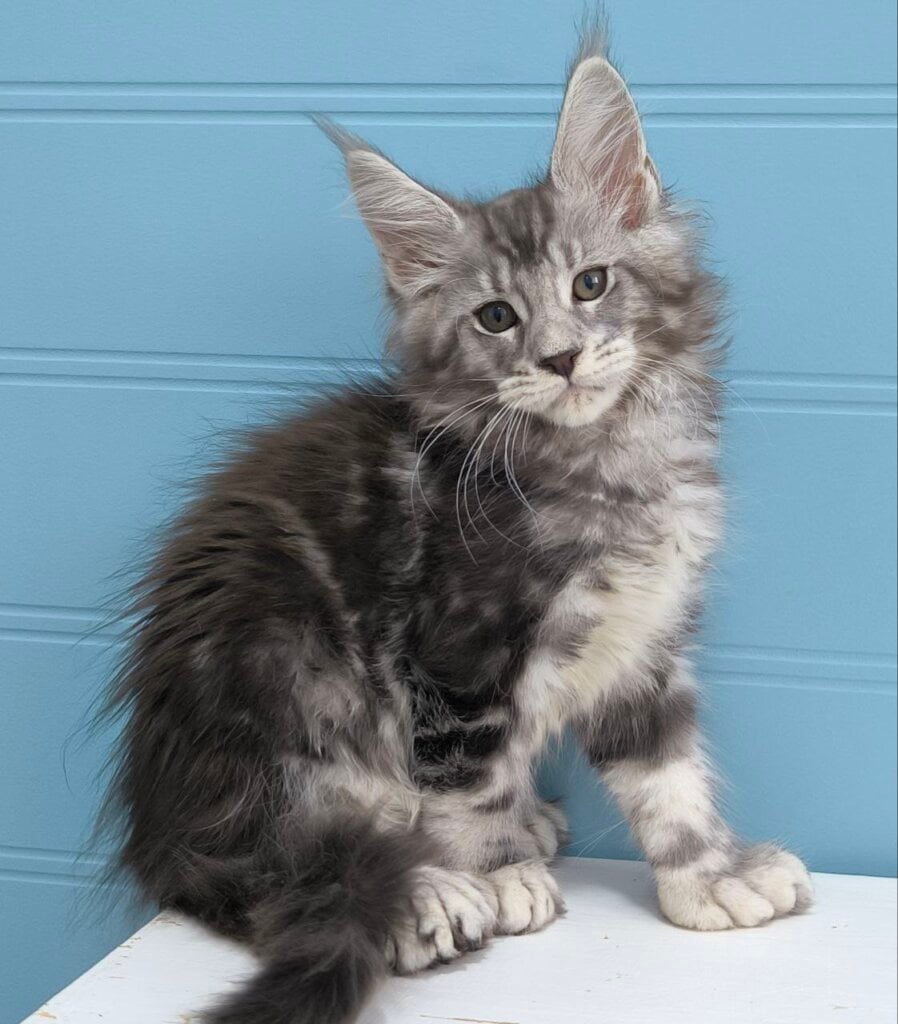 Photo 2026 01 22 18 57 38