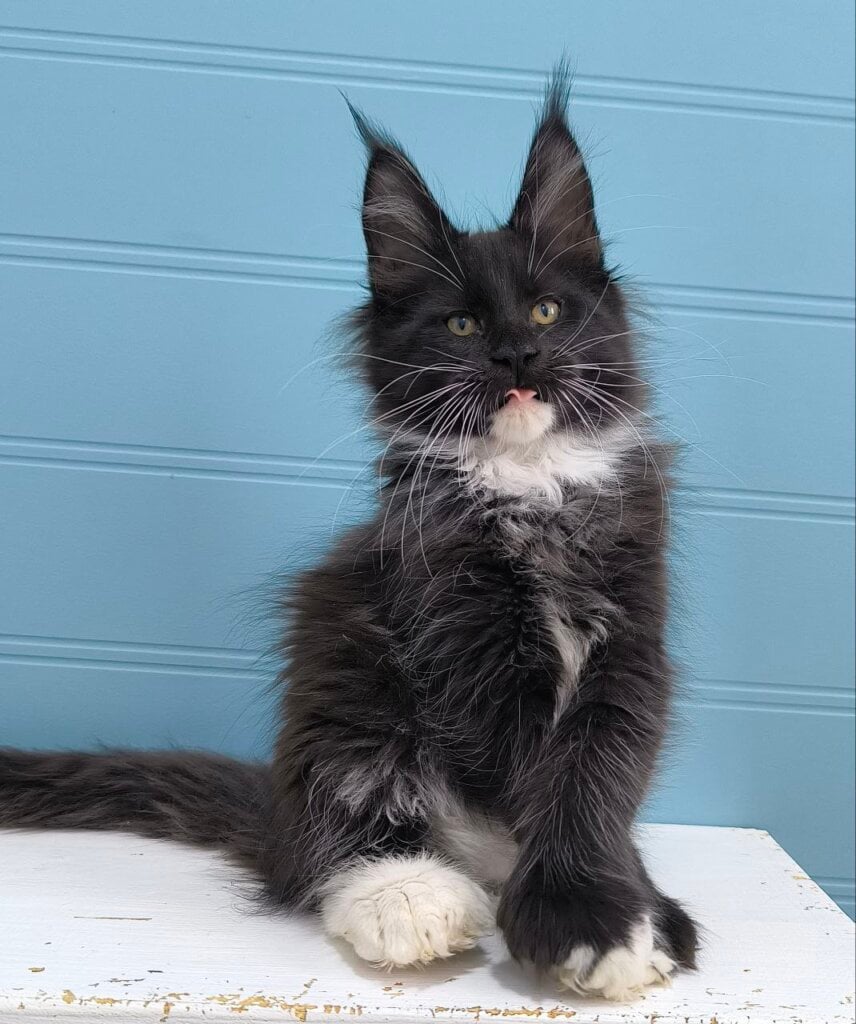 Photo 2026 01 22 19 00 23