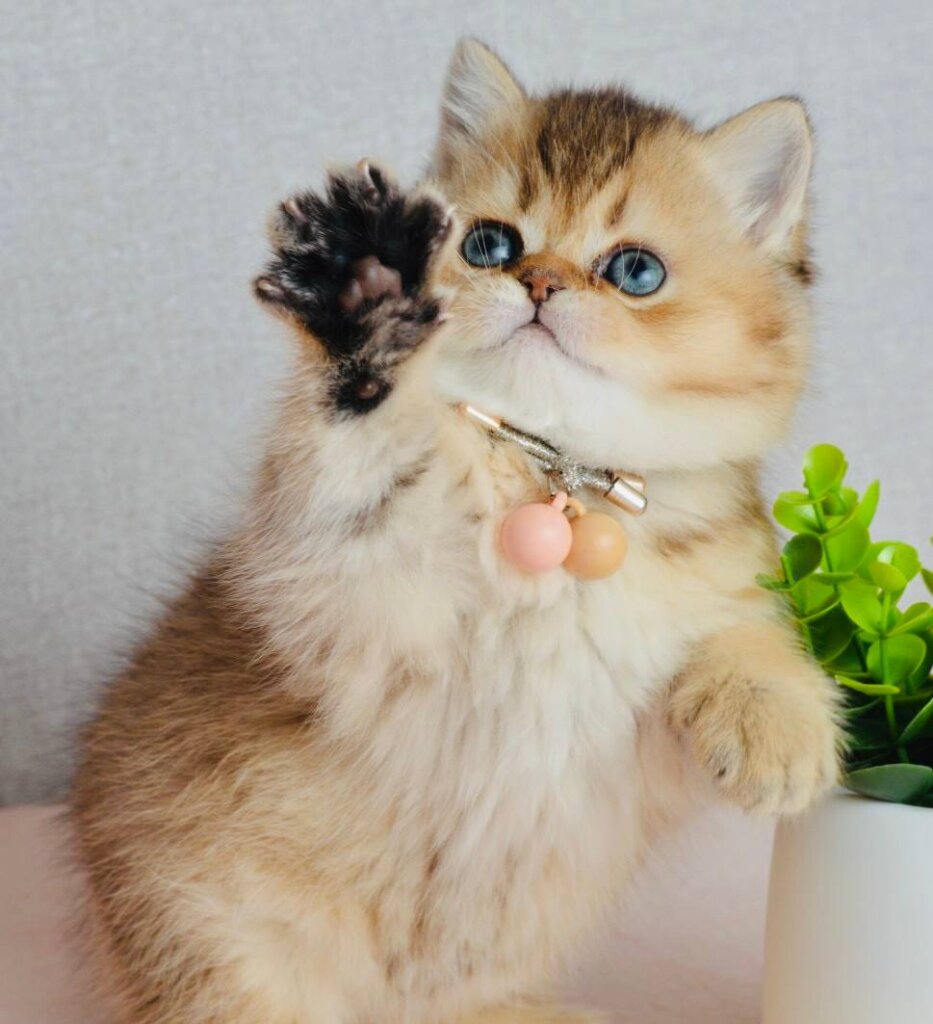 Photo 2026 01 22 19 16 56