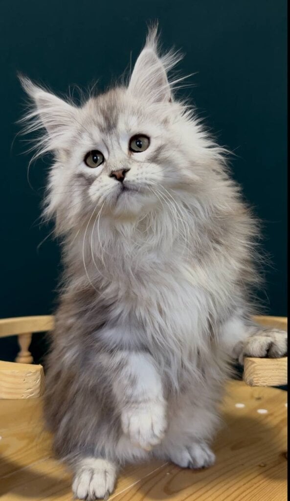 Photo 2026 01 23 22 57 21 2