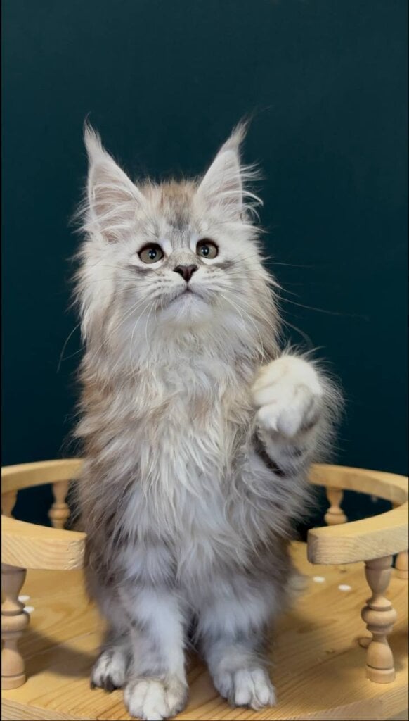 Photo 2026 01 23 23 12 31 2