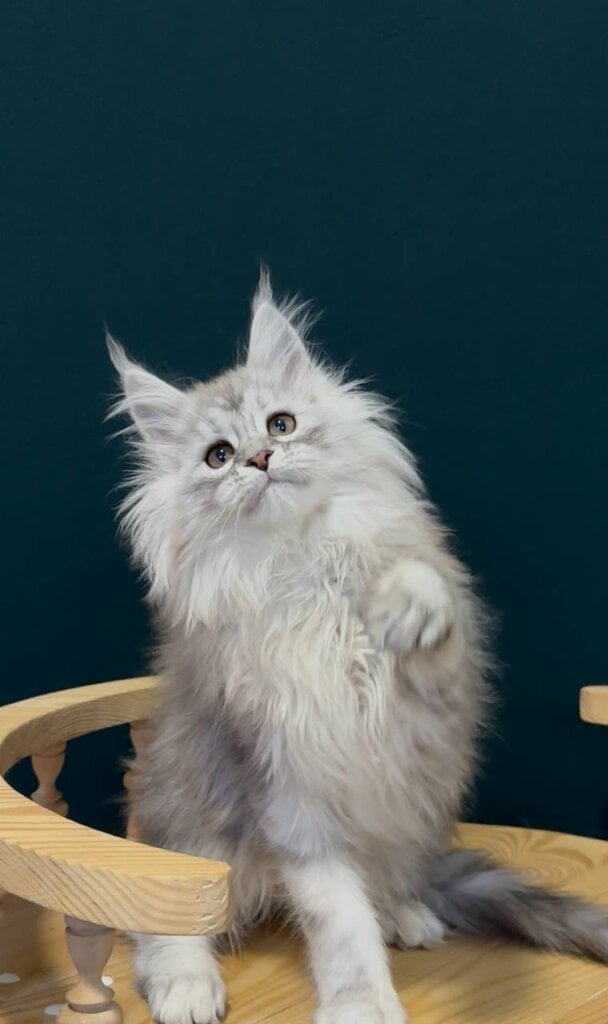 Photo 2026 01 23 23 27 33