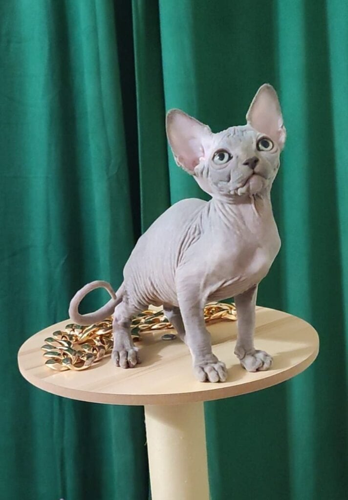 Photo 2026 01 24 03 17 20