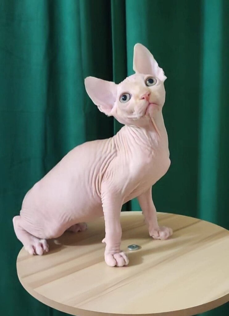 Photo 2026 01 24 03 21 18