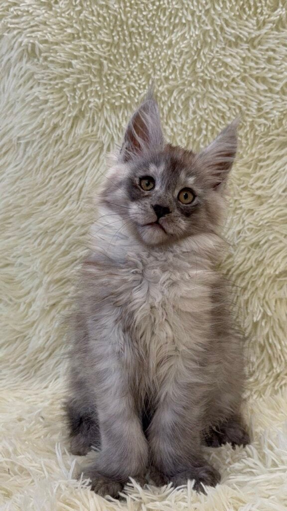 Photo 2026 01 24 12 43 42