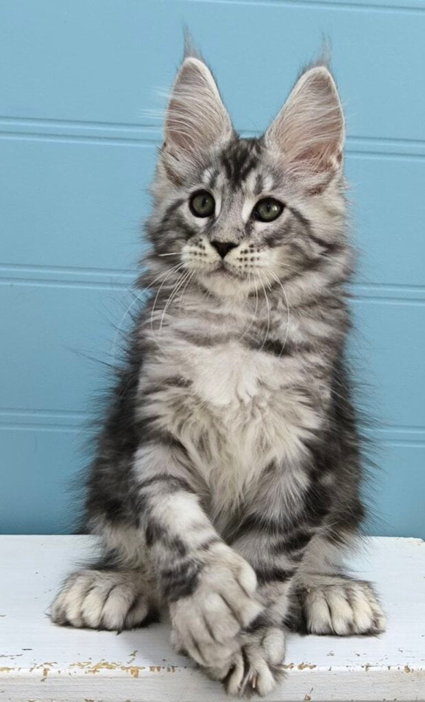 Photo 2026 01 24 16 08 58