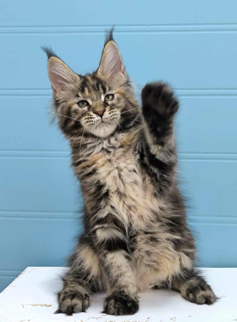 Photo 2026 01 24 16 13 46