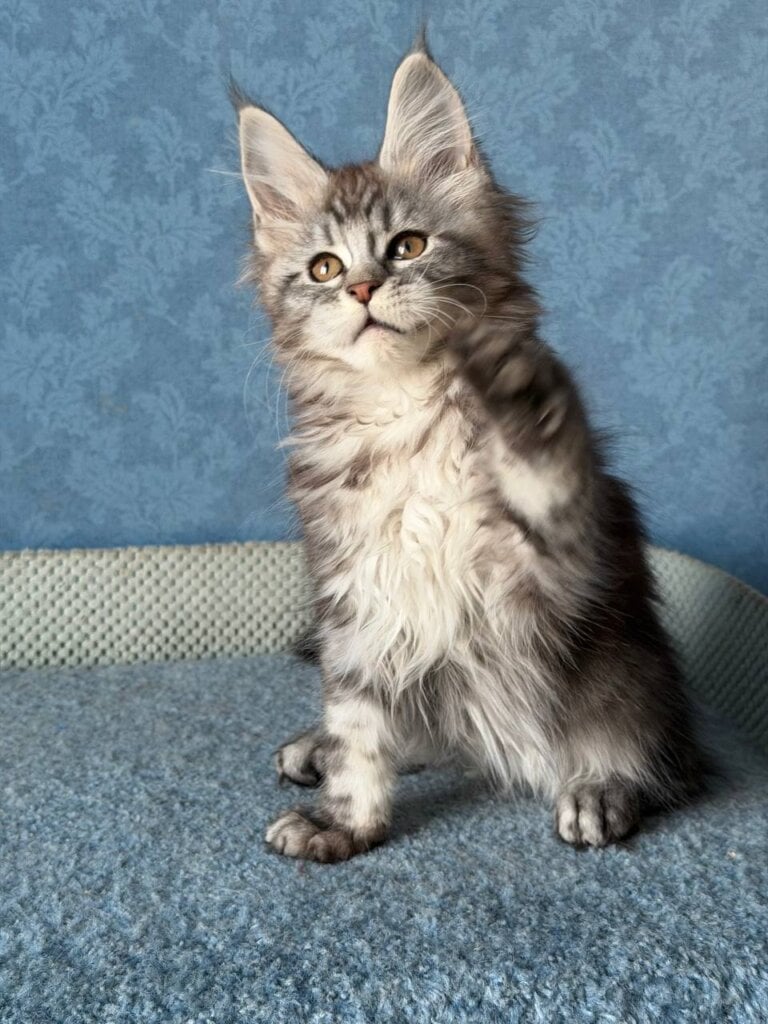 Photo 2026 01 24 17 17 59