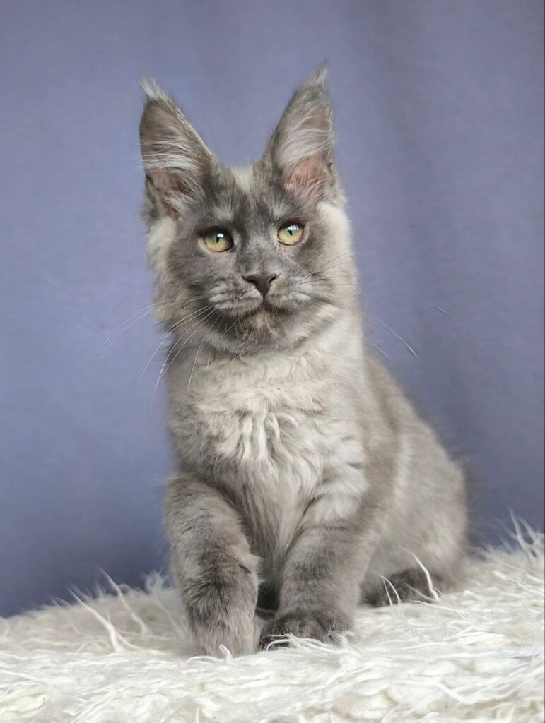 Photo 2026 01 25 10 04 32