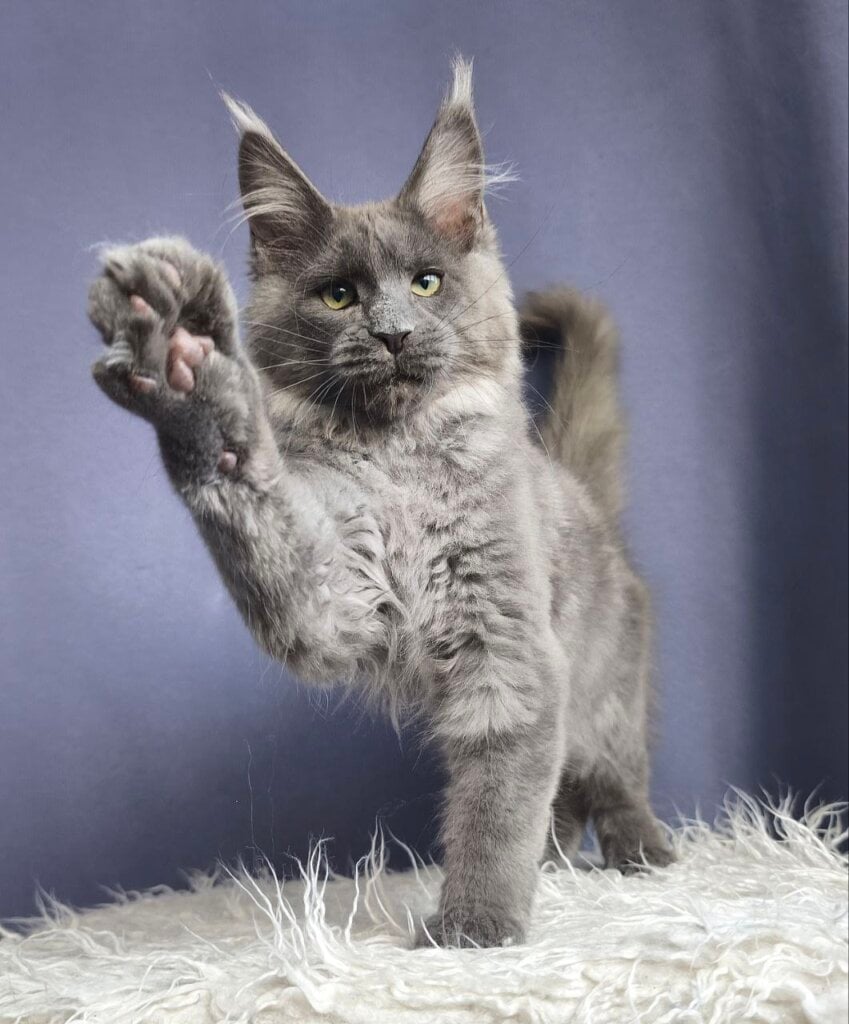 Photo 2026 01 25 10 10 59