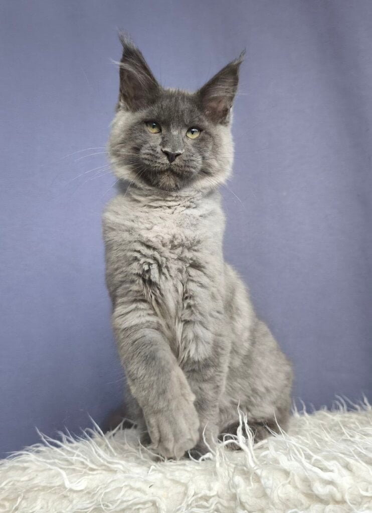 Photo 2026 01 25 10 30 32