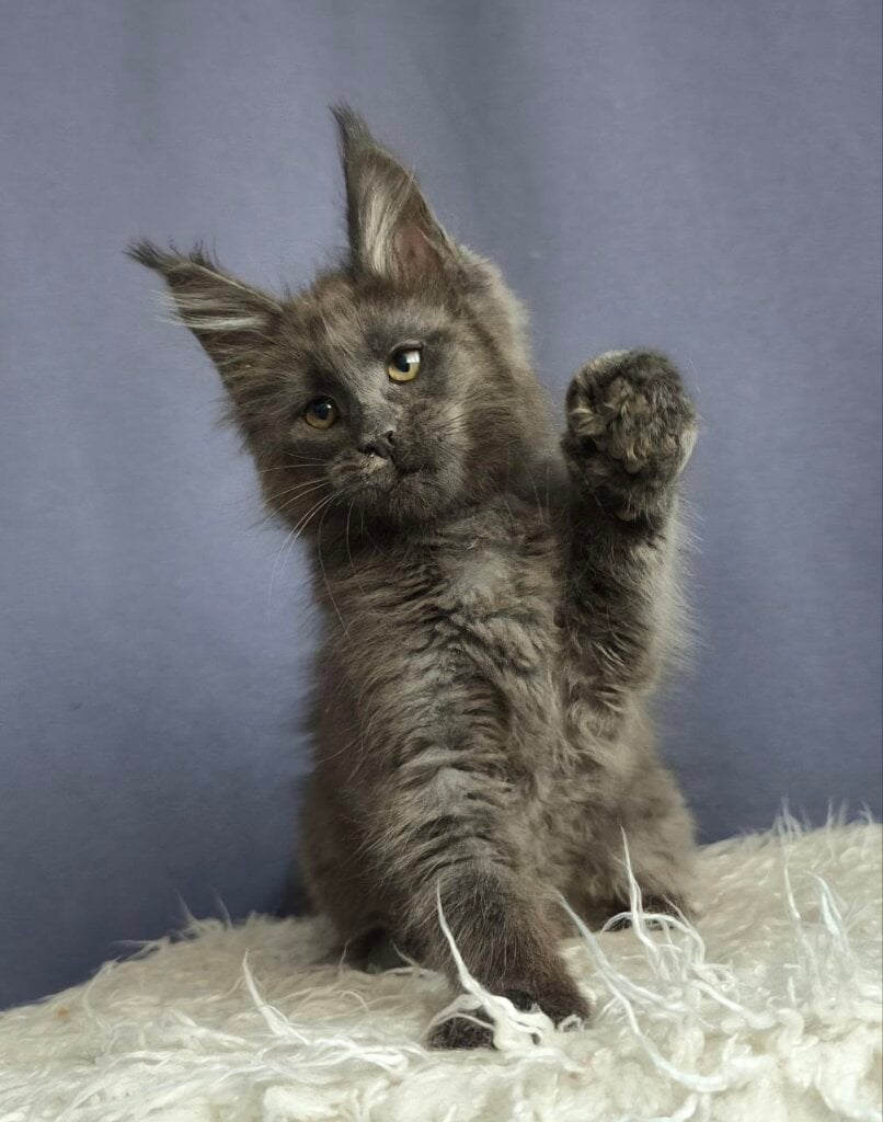 Photo 2026 01 25 15 42 40