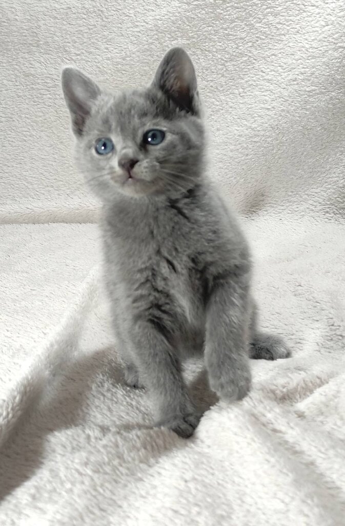 Photo 2026 01 25 19 53 40