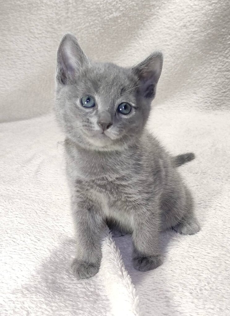 Photo 2026 01 25 21 12 21