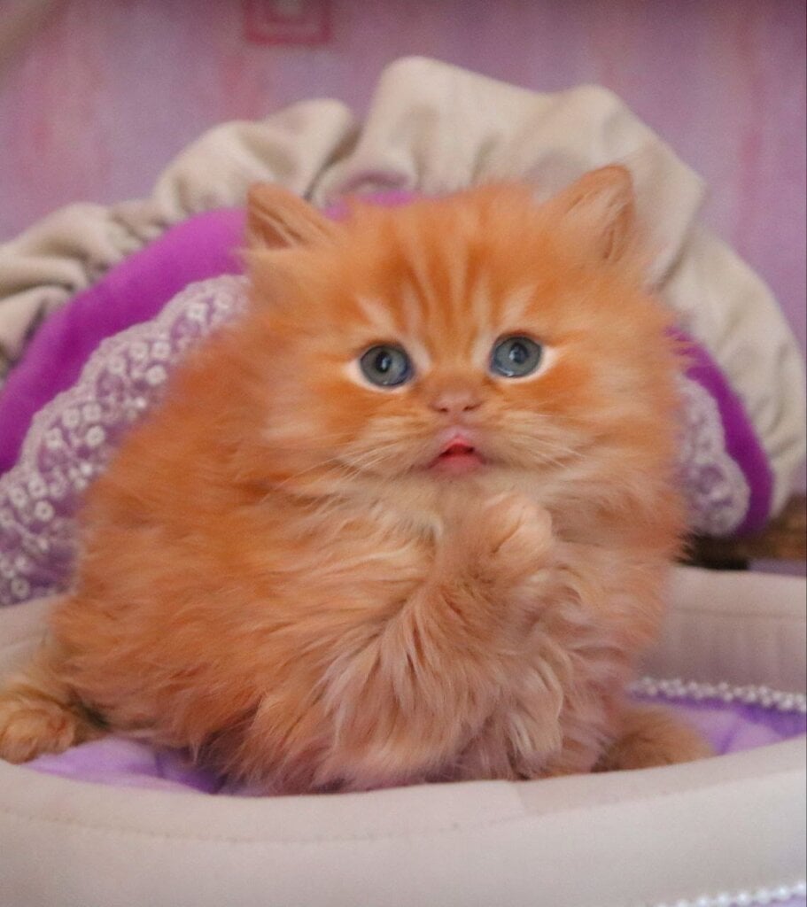 Photo 2026 01 26 18 41 49 2