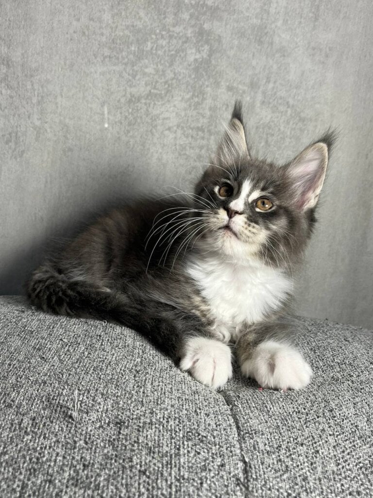 Photo 2026 01 27 10 47 05