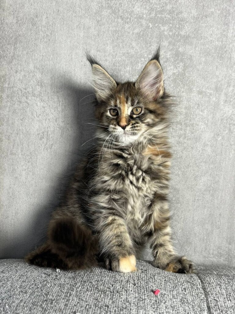 Photo 2026 01 27 10 58 06