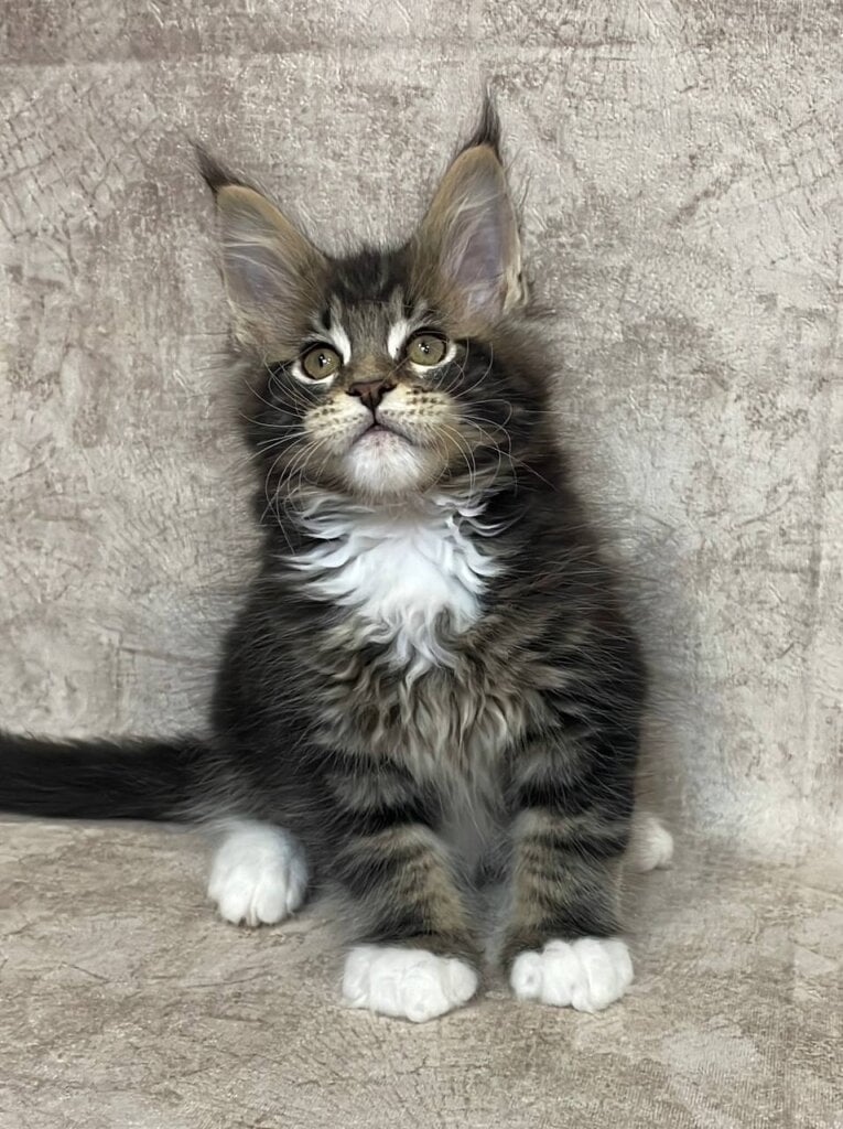 Photo 2026 01 27 22 02 58 2