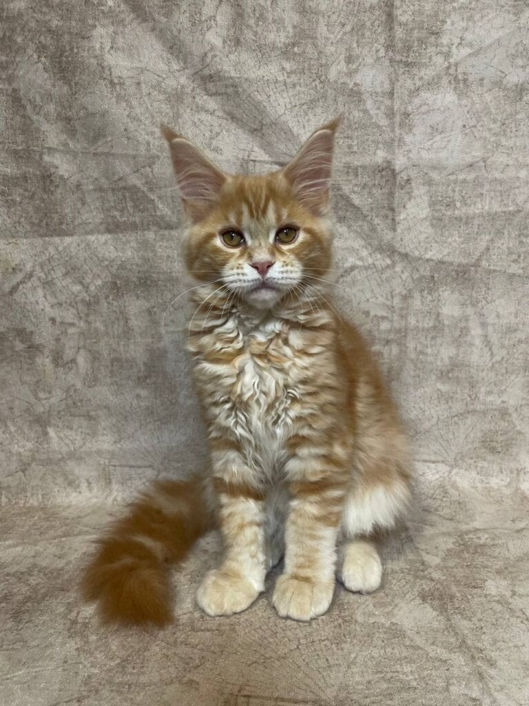 Photo 2026 01 27 22 11 58