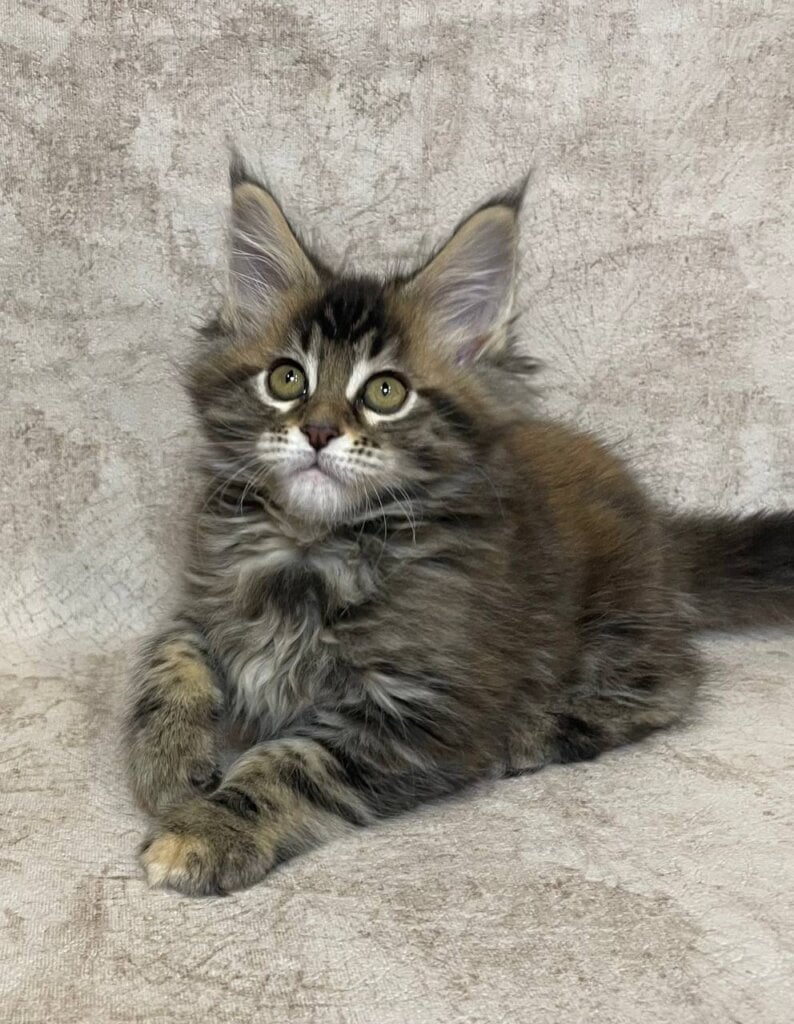 Photo 2026 01 27 22 27 26