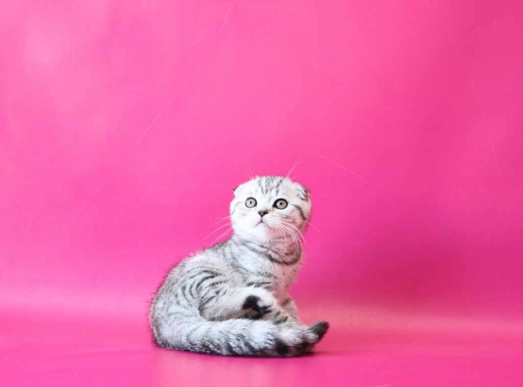 Photo 2026 01 28 10 37 09 2