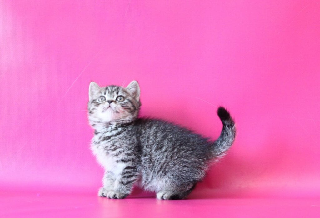 Photo 2026 01 28 10 39 15 2