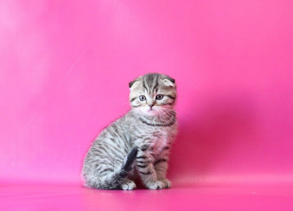 Photo 2026 01 28 10 40 56 2