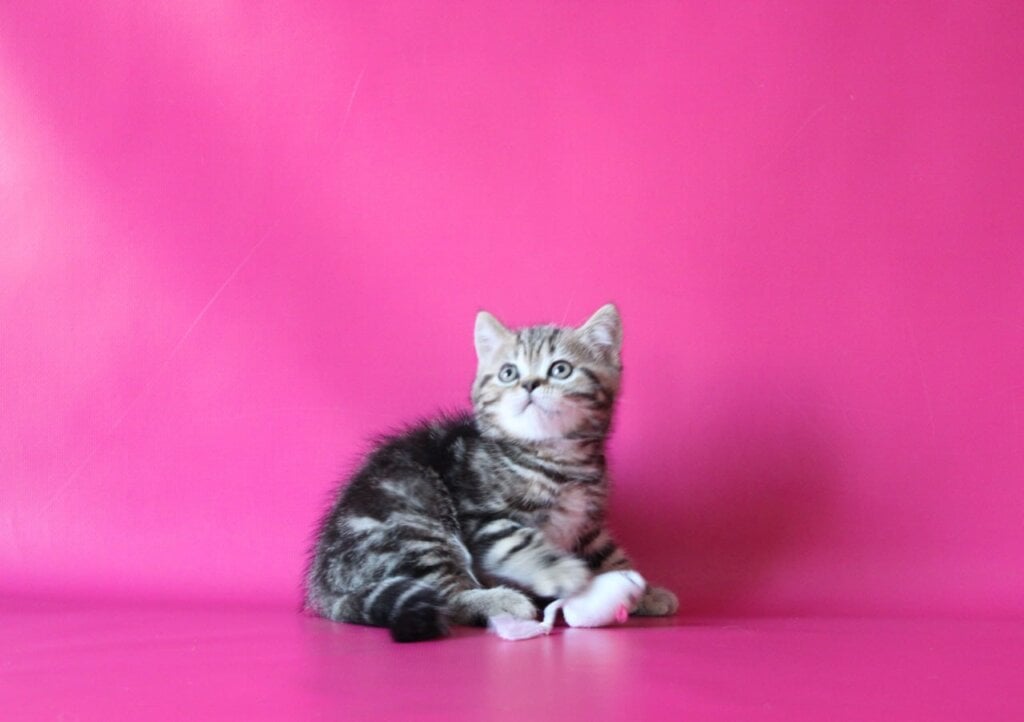 Photo 2026 01 28 10 42 22