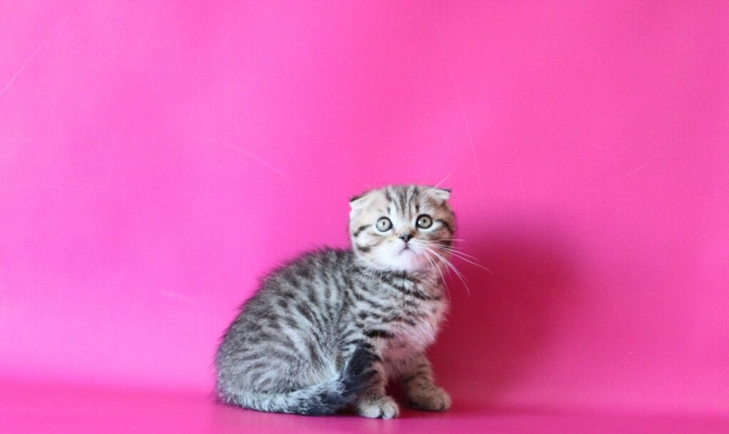 Photo 2026 01 28 10 43 38