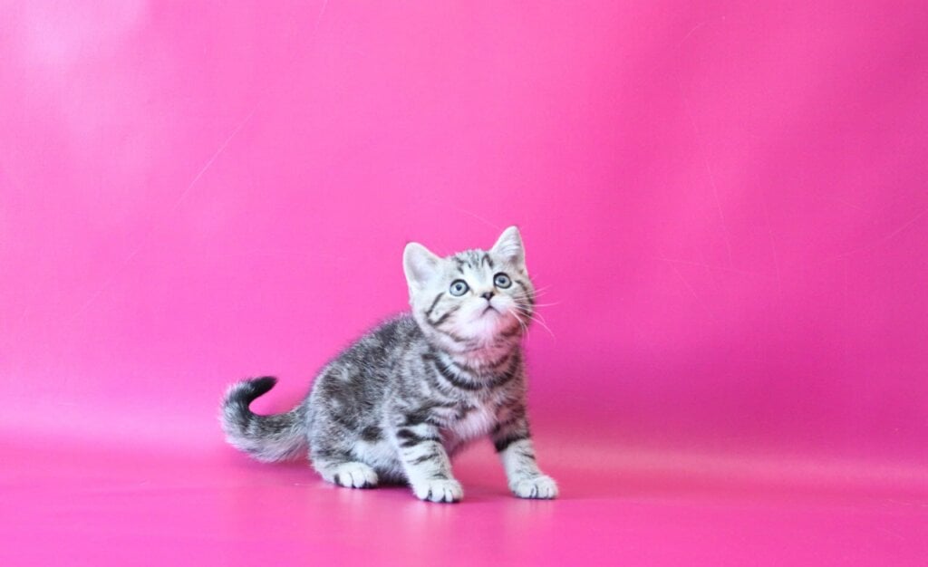 Photo 2026 01 28 10 48 24