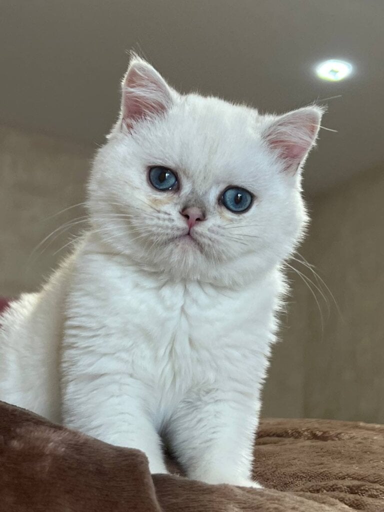 Photo 2026 01 28 14 28 36 2