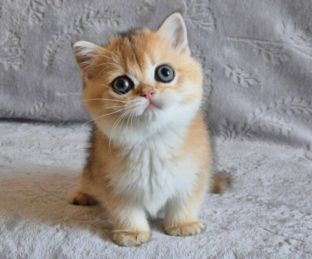 Photo 2026 01 28 15 04 36 2